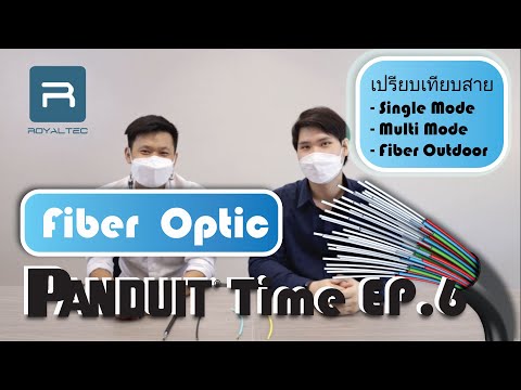PanduitTimeEP6 | เปรียบเทียบสาย Fiber Optic Single Mode VS Multi Mode | by Royaltec