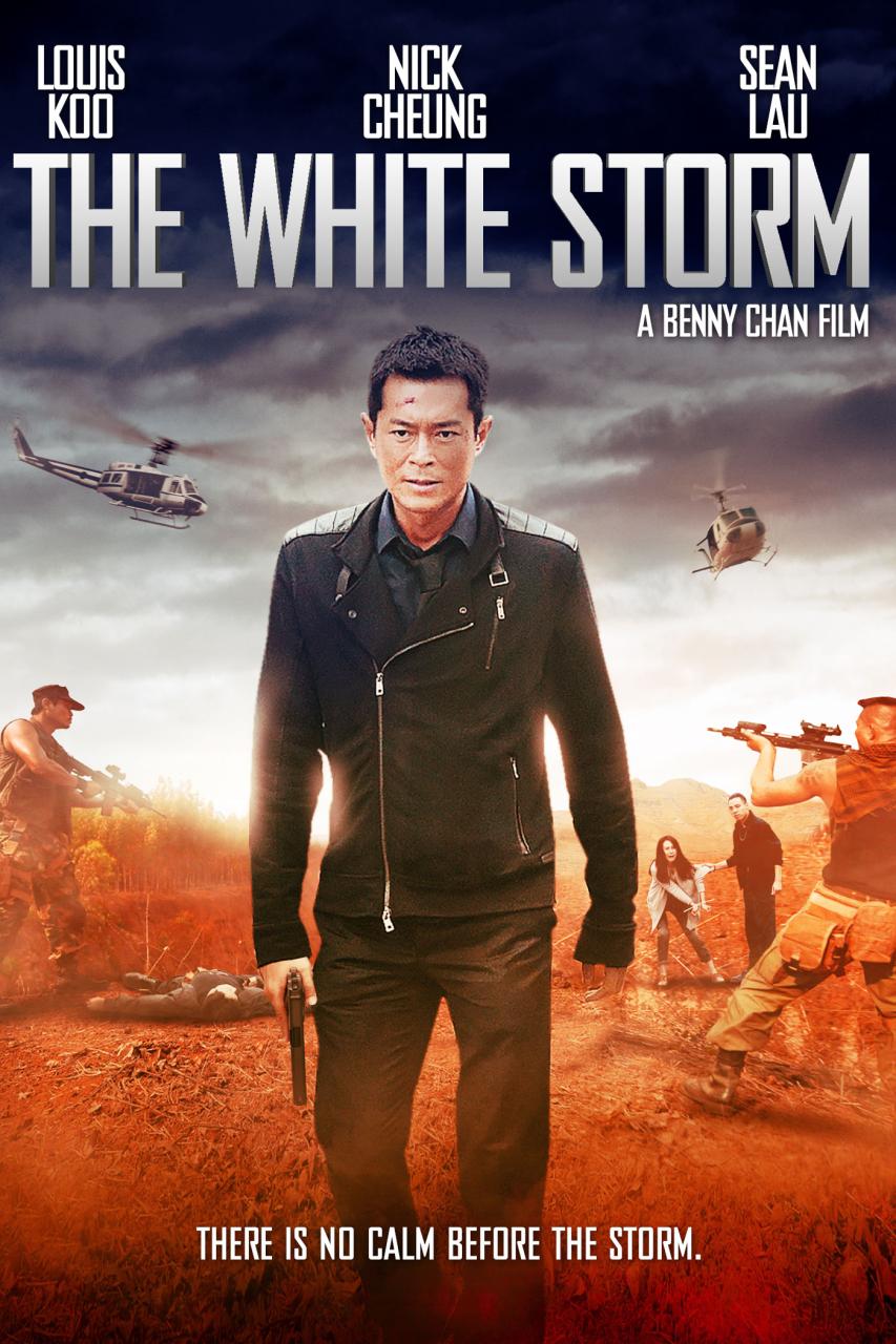 The White Storm (2013) - Imdb